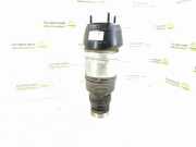 Pneumatischer Stoßdämpfer vorne links MERCEDES-BENZ M (W166) ML 250 CDI / BlueTEC 4-matic (166.004, 166.003) 1663207113