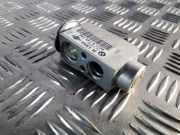 A/C Conditioner Expansion Valve BMW X3 (E83) xDrive 20 d 9135745