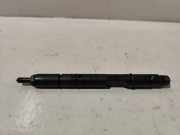 Einspritzdüse AUDI A4 Avant (8ED, B7) 2.0 TDI 059130201G