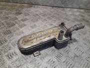 Abgaskühler Mitsubishi Outlander II (CWW) 03G131513K