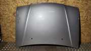 Motorhaube SUZUKI GRAND VITARA I (FT, HT) 2.0 4x4 (TA52, TL52, SQ 420)