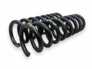 Schraubenfeder hinten links MERCEDES-BENZ SLK (R171) 280 (171.454)