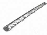 Gitter vorne unten TOYOTA RAV 4 III (_A3_) 2.2 D 4WD (ALA30_) 5311242040