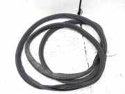 Türdichtung Ford Transit Custom V362 Kasten (FY, FZ) JK21V253A10AC