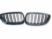 Vorderer oberer Gitter BMW 3 Coupe (E92) 320 i
