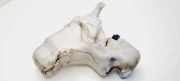 Fensterwaschtank JAGUAR X-TYPE (X400) 2.0 D 4X4317B613AB