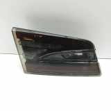 Heckklappenleuchte links TESLA MODEL S P100D AWD 6005922-00-E
