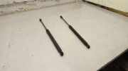 Heckklappe Gasdruckfeder links VW TIGUAN (5N_) 2.0 TSI 4motion 5N0827550D01S