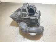 Luftfiltergehäuse Dacia Duster (HS) 165009775R