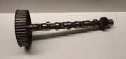 Nockenwelle AUDI A6 (4B2, C5) 2.5 TDI 059109111F