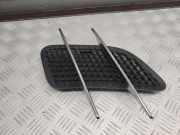 Gitter MERCEDES-BENZ SL (R231) 500 (231.473) A2317500344