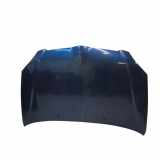 Motorhaube TOYOTA COROLLA (_E12_) 1.4 VVT-i (ZZE120_)