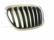 Vorderer oberer Gitter BMW X1 (E84) sDrive 20 d 2993308