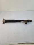 Stoßdämpfer hinten links MERCEDES-BENZ C (W204) C 200 CGI (204.048) A2043203730 A2043260198