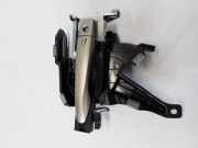 Türgriff links vorne Renault Kadjar (HA, HL) 806071597R