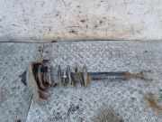 Stoßdämpfer vorne rechts AUDI A6 (4F2, C6) 2.0 TDI 4F0413031AS