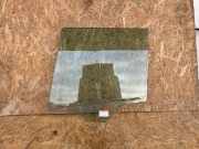 Türscheibe links hinten BMW X3 (F25)