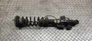 Stoßdämpfer hinten links BMW 7 (F01, F02) 740 d 105413