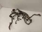 Motor Kabelbaum PEUGEOT 107 1.0 10071210095459 82120H110Q