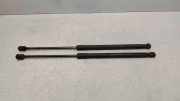 Heckklappe Gasdruckfeder rechts MERCEDES-BENZ A (W169) A 160 CDI (169.006, 169.306) 1697400345 A1697400345