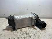 Ladeluftkühler VW GOLF VIII (CD1) 1.0 TSI 05C145785D