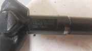 Einspritzdüse NISSAN PATHFINDER III (R51) 2.5 dCi 4WD 16600EC00A