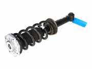 Stoßdämpfer links hinten BMW X3 (G01, F97) 6871802