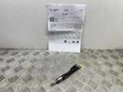 Einspritzdüse BMW 5 (F10) ActiveHybrid 0261500172 7639994