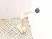 Fensterwaschtank CITROËN C3 Pluriel (HB_) 1.6 9642546080