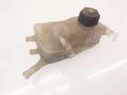 Ausgleichsbehälter RENAULT MEGANE III Coupe (DZ0/1_) 1.5 dCi (DZ09, DZ0D, DZ1F, DZ1G) 217100005R