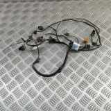 Kabelbaum Hinteren Parksensoren AUDI A5 (F53) S5 quattro 8W6971104G