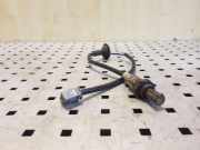 Sauerstoffsensor (Lambdasensor)