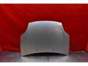 Motorhaube Fiat Bravo II (198)