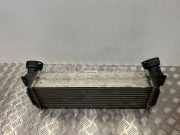 Ladeluftkühler BMW X5 (F15, F85) xDrive 30 d 7809321