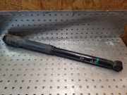 Stoßdämpfer links hinten Mitsubishi Colt IV (CAO) 814901000210