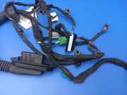 Kabel Tür BMW 7er (E65, E66) 6950342