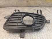 Kühlergrill links Mercedes-Benz A-Klasse (W169) 1698850522