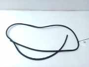 Zierleiste Windschutzscheibe Frontscheibe NISSAN NP300 NAVARA Pick-up (D23) 2.3 dCi 4x4 (D231)