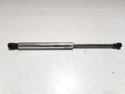 Heckklappe Gasdruckfeder rechts VW PHAETON (3D_) 5.0 V10 TDI 4motion 3D5827550B