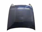 Motorhaube VW PHAETON (3D_) 3.0 V6 TDI 4motion 3D0823480E