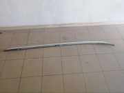 Dachreling links BMW X3 (F25) xDrive 28 i 723020712