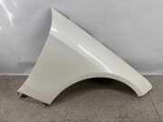 Kotflügel rechts vorne Mercedes-Benz E-Klasse (W212)