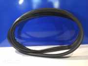 Türgummi links vorne Volvo S60 II (134) 31434309