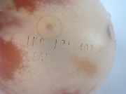 Ausgleichsbehälter VW TIGUAN (5N_) 2.0 TDI 1K0121407A