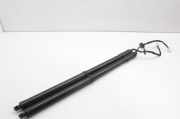 Kofferraum-Gasfeder-Kit NISSAN X-TRAIL (T32_) 1.6 dCi (T32) 90561-4CL2A