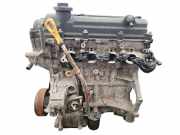 Motor HYUNDAI i20 (PB, PBT) 1.4 G4LA