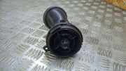 Ziergitter Mini Mini (R56) 925401201