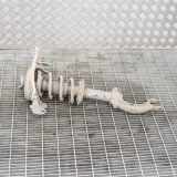 Stoßdämpfer vorne links AUDI Q5 (8R) 2.0 TDI quattro 8R0031F