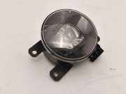 Nebelscheinwerfer links CITROËN C4 X (BD_, BE_, BF_) ë-C4 X (BFZKXC) 132V8V