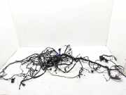 Innenkabelbaum (links) RENAULT SCÉNIC IV (J9_) 1.6 dCi 130 241633079R